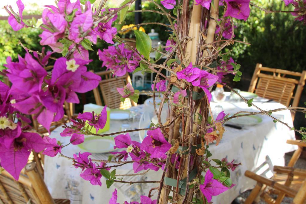 La Porta Sulla Costa Bed and Breakfast San Pantaleo Εξωτερικό φωτογραφία